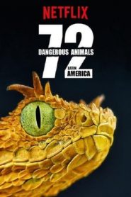 72大危险动物：拉丁美洲