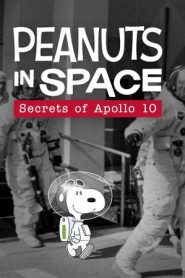 花生在太空：阿波罗十号的秘密
