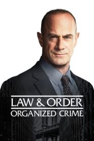 法律与秩序：组织犯罪：第2季