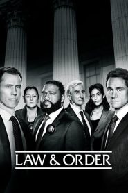 法律与秩序：第21季